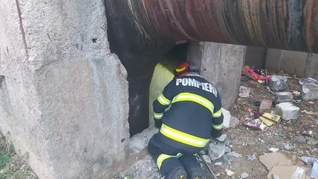 (P)Angajaţii de la Infrastructură 5 au salvat un cetăţean căzut într-un canivou