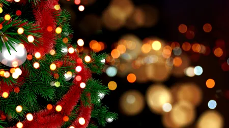 Cât curent consumă o instalație de brad. Cât costă să o ții în priză toată luna decembrie