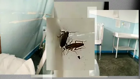 Imagini șocante într-un spital din România: Gândaci și mizerie, filmate de o mamă care s-a internat cu copilul / Reacția conducerii unității medicale