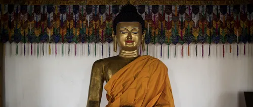 Scheletul unui călugăr, mort acum 900 de ani, a fost găsit în interiorul unei statui. Explicația specialiștilor - FOTO