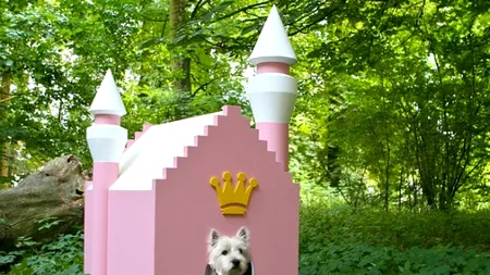 Cele mai originale cuști pentru câini. GALERIE FOTO