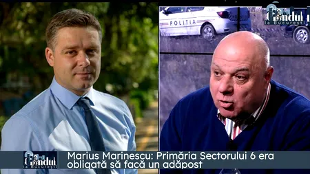 Marius Marinescu, despre cazul femeii ucise de câini: „Ucidere din culpă, primarul Sectorului 6, pasibil de pușcărie. Primăria Sectorului 6 trebuia să-și facă propriul serviciu pentru câini” | VIDEO EXCLUSIV, „Cu Gândul la București”
