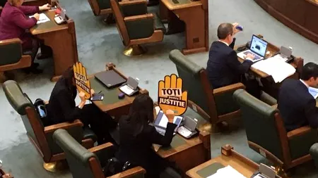 Ziua și scandalul în Parlament. Senatoarea USR Florina Presadă susține că a fost înjurată de Liviu Brăiloiu de la PSD: „Ceea ce a spus nu poate fi reprodus