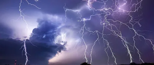 Furtuna a făcut RAVAGII în Capitală. Mașini și cabluri electrice de înaltă tensiune, avariate din cauza copacilor căzuți
