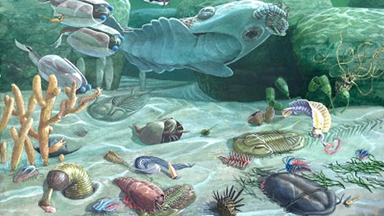 Explicația inedită a unui fenomen petrecut în urmă cu 530.000.000 de ani