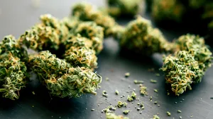 Poliția din Turcia a ars 20 de tone de canabis în centrul unui oraș. Locuitorii au avut HALUCINAȚII: „Copiii noștri s-au îmbolnăvit”