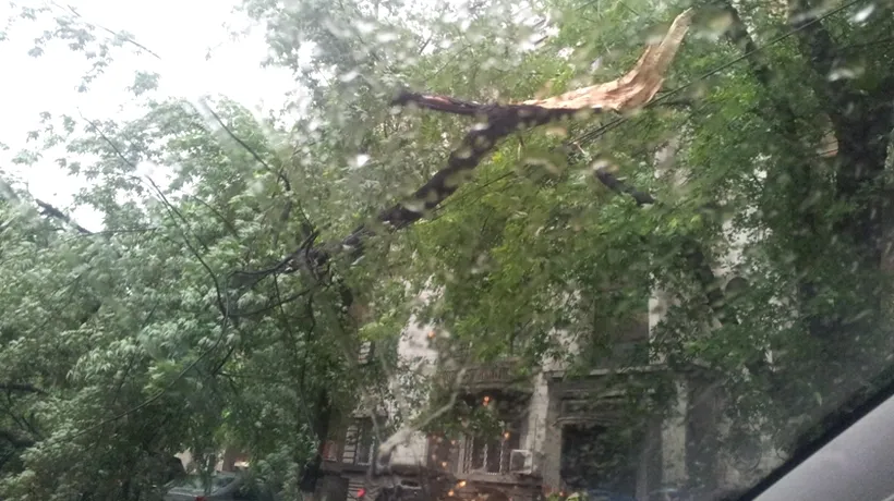 Aproape 60 de mașini avariate de copacii doborâți de vânt, în București
