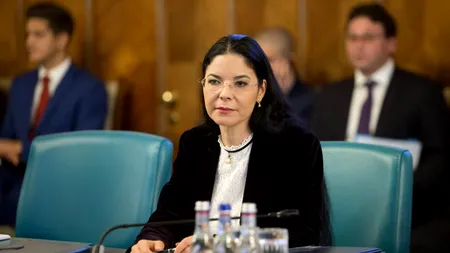 Fostul ministru Ana Birchall l-a scos ”la tablă” pe Stelian Ion: ”Sunteţi ministrul ZERO realizări”
