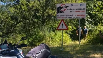 Motociclist omorât de urs, la Vidraru/ Șeful Salvamont Argeș: „L-a tras în râpă, 60 m. Motocicleta se pare că este de Italia”