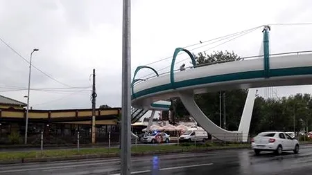 Amendă record pentru patronul terasei „La Steaguri