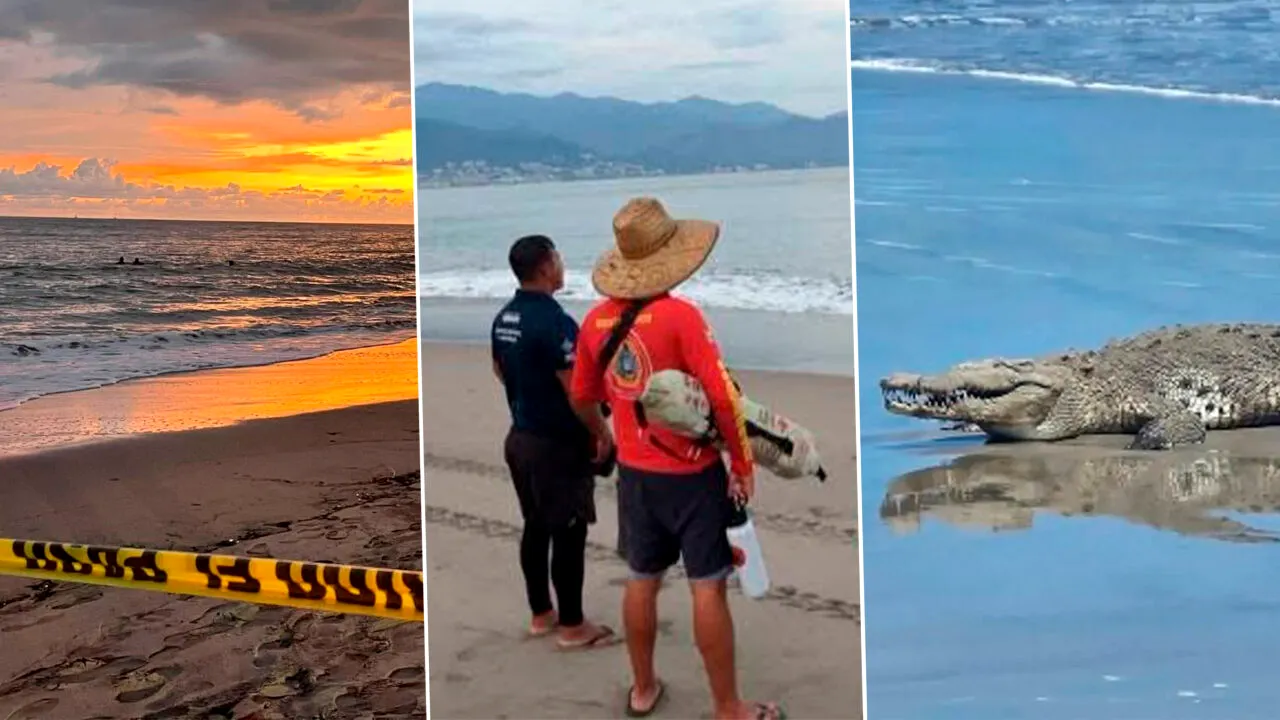 Un bărbat a fost ucis de un crocodil în timp ce înota. Scena de groază s-a întâmplat sub ochii turiștilor care au încercat să-l salveze