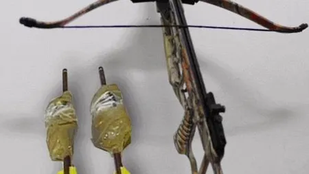 Un bărbat a ucis un câine în timp ce vâna pe străzile din Tulcea