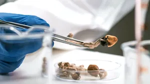 Descoperirea medicală care ar putea schimba omenirea. Substanța PSIHOACTIVĂ din „ciupercile magice” ar putea deveni un veritabil elixir al tinereții