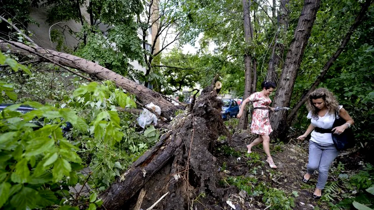 Un bărbat și un copil au fost răniți în Parcul Carol din București