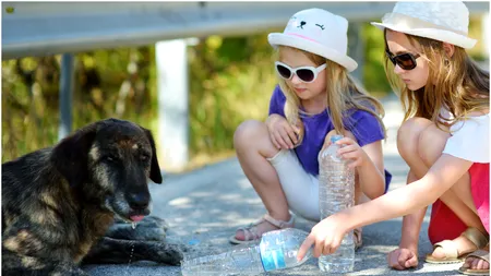 „Cu gândul la animale