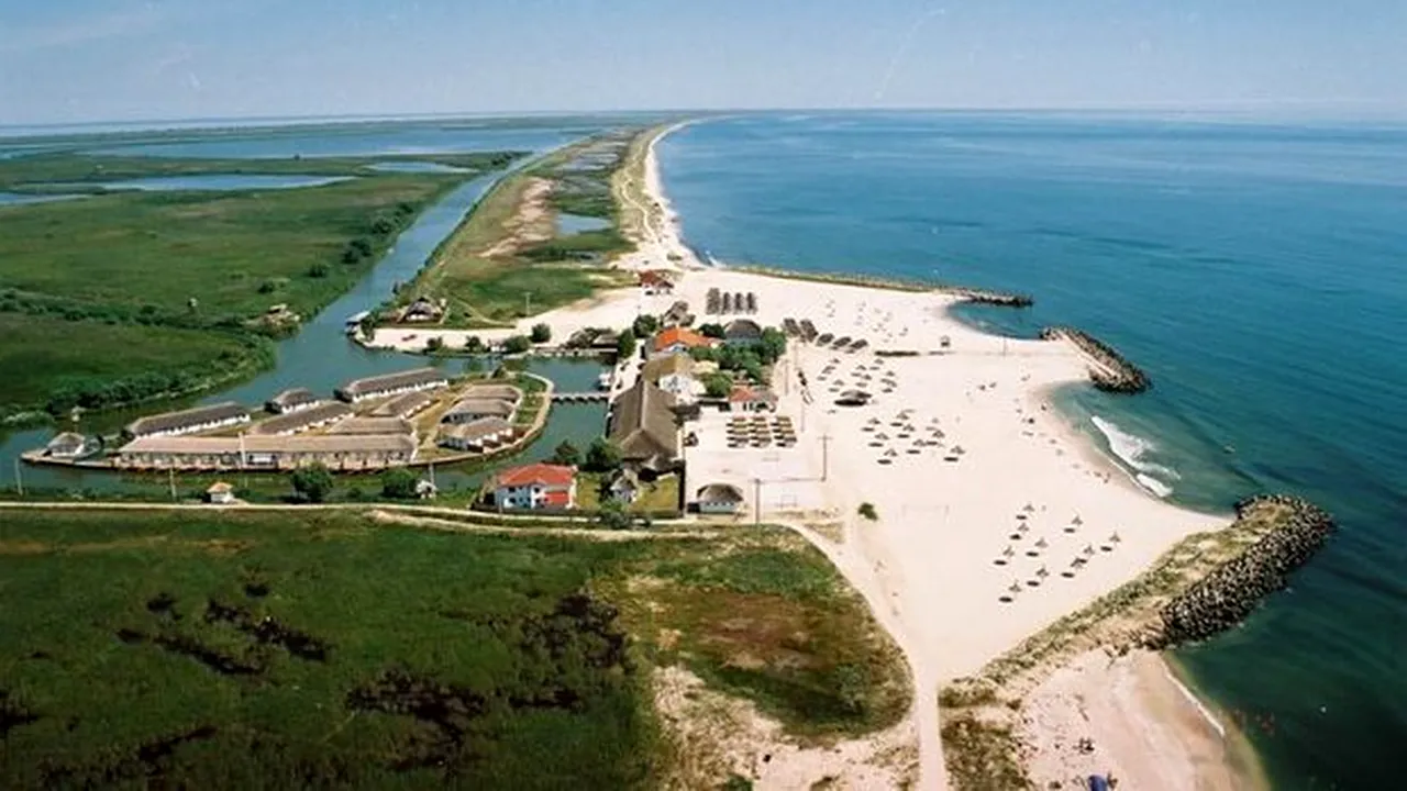 Locul sălbatic din România unde poți înota cu delfinii