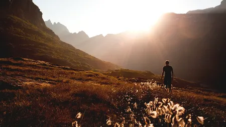 Kaizen, metoda japoneză împotriva lenei