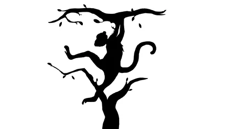 Cel mai tare test de personalitate | Primul lucru pe care îl vezi îți va spune adevărul nebănuit despre mintea ta