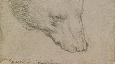 Cap de urs, desen de Leonardo da Vinci pe numai 7 cm pătrați. Prețul incredibil cerut la licitație!