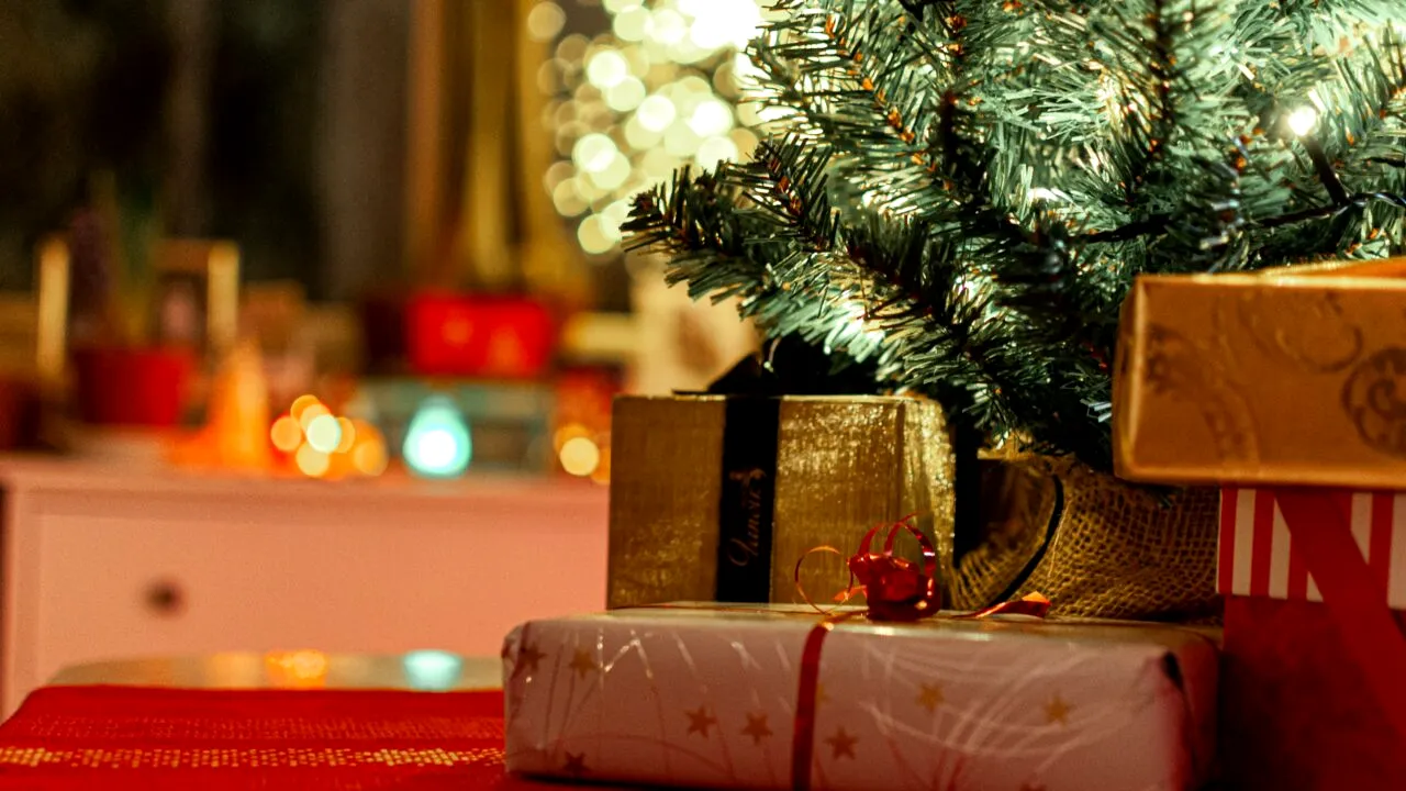 Surpriză în bradul de Crăciun! Ce a putut să găsească o familie printre crenguțe. Toți au rămas șocați!