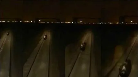 Investigație în Rusia, după ce un urs ar fi fost călcat intenționat cu trenul