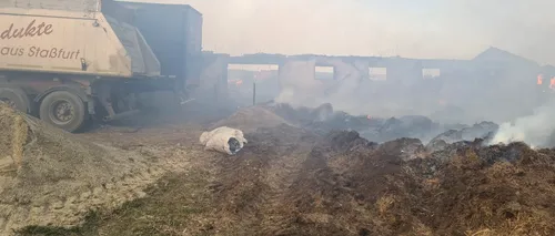 VIDEO | Un incendiu de vegetație s-a extins la o fermă din județul Botoșani. Mai multe animale au pierit în flăcări