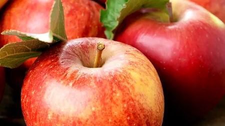 2025 este un an „PROST” pentru cultivatorii de mere. Producția, cu 10% mai puțin față de anul trecut, este la cel mai scăzut nivel din 2017 încoace