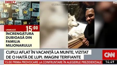 Un cuplu aflat in vacanță la munte in Canada s-a trezit cu o haită de lupi la ușă. Animalele nu erau violente