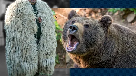 Propunere inedită: hrănirea urșilor, pedepsită cu ÎNCHISOAREA