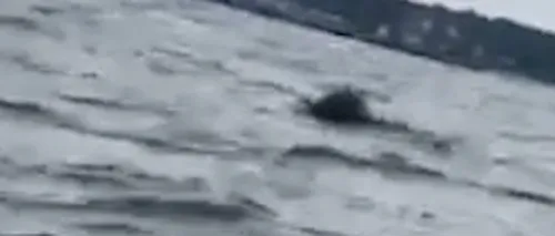VIDEO | Un obiect plutitor asemănător unei mine marine a alarmat oamenii din stațiunea Jupiter. MApN susține că e vorba de o baliză