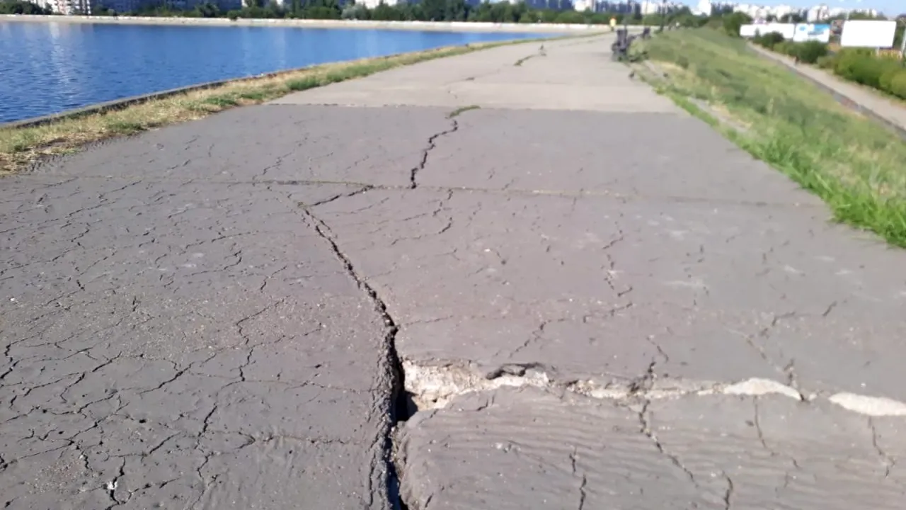 Detalii incredibile în cazul femeii sfâșiate de maidanezi în zona Lacul Morii: Un bărbat a văzut întreaga scenă și a încercat să o salveze, dar era deja prea târziu