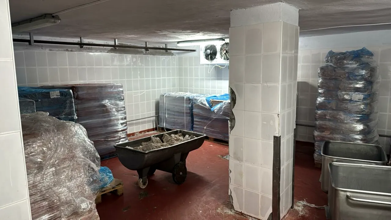 Inspectorii ANPC, sub coordonarea președintelui Piedone, au oprit temporar activitatea unei fabrici de conserve din Ilfov. Ce nereguli au fost găsite