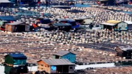 Cum arată satul chinez care plutește pe apă