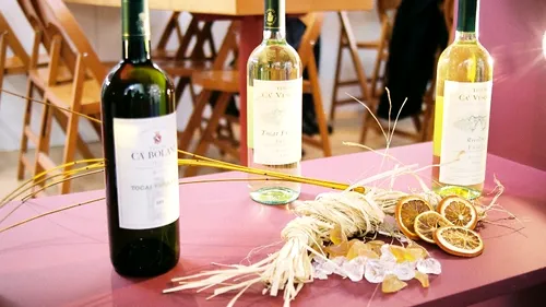 Studenții chinezi vor învăța la Craiova viticultura și cum se degustă vinurile