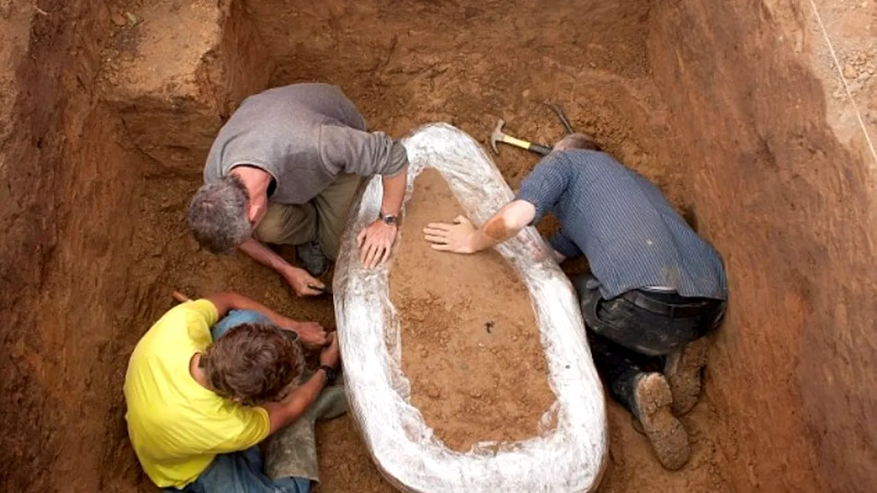 Descoperire unică în lume. Comoara de pe un câmp din Marea Britanie