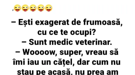 Bancul de miercuri | „Ești exagerat de frumoasă! Cu ce te ocupi?