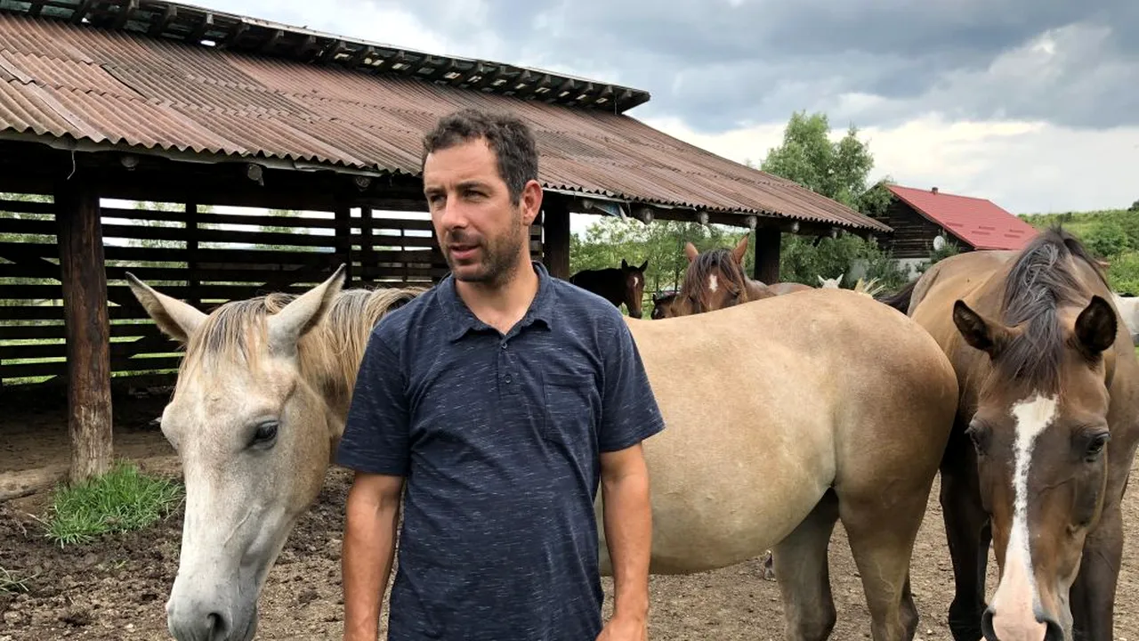 Și caii se împușcă, nu-i așa? Simi și Ioana au răspuns NU. Refugiul Caii Lupilor, locul unde CAII fără NICIO ȘANSĂ devin CAMPIONI