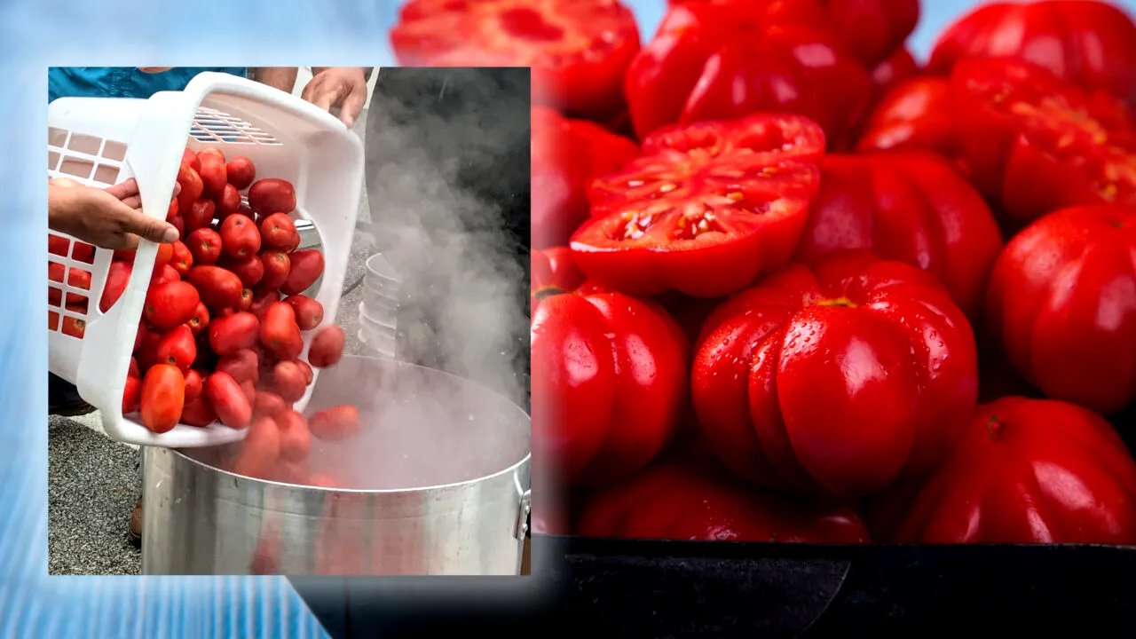 Cum să decojești roșii rapid și eficient. Trucul genial care nu îți pune răbdarea la încercare