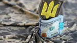 Ucraina speră la un nou sprijin financiar după summitul NATO din Turcia. Kievul insistă ca țările europene să aloce 0.25% din PIB