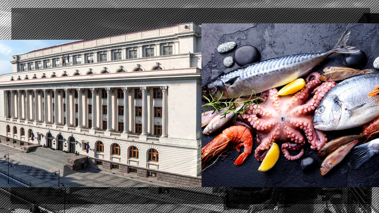 BNR vrea să cumpere pește proaspăt, congelat și fructe de mare de 4,2 milioane de lei. Contractul este de aproximativ trei ori mai mare decât în 2021