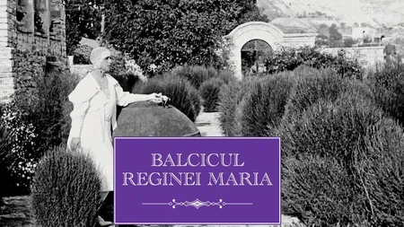 Istoricul Diana Mandache a lansat cartea 