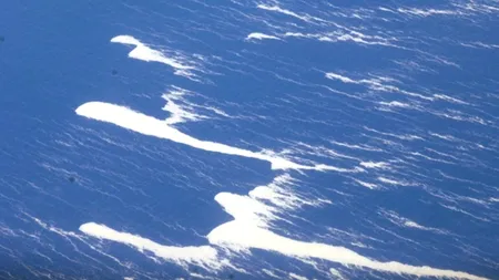 FOTO+VIDEO. Fenomen neobișnuit în apropiere de Noua Zeelandă. 