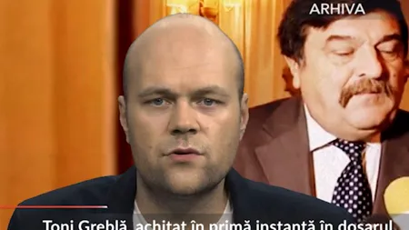 Achitare pentru Toni Greblă în dosarul ferma de struți