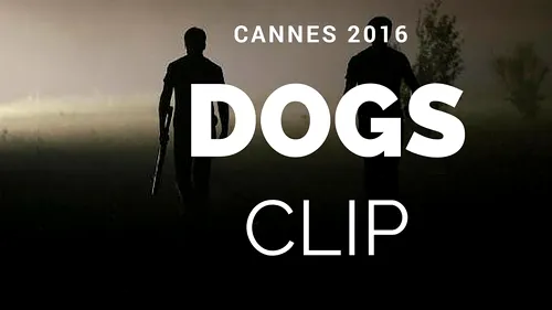 Regizorul român Bogdan Mirică, premiul criticilor la Cannes pentru lungmetrajul Câini