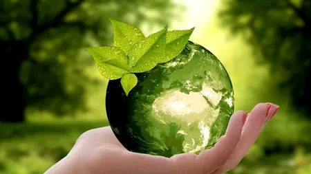 Cinci studenți români au câștigat medalia de argint la competiția internațională ”Thales TechChallenge”(VIDEO)