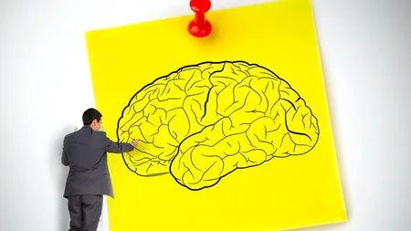 Ce trebuie să faci zilnic, ca să TRĂIEȘTI mai mult. Este un obicei considerat un adevărat „masaj pentru creier”