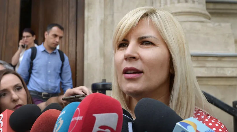 Avocat: „Elena Udrea se află într-o detenție nelegală. ICCJ a comis un abuz evident” / Ultima speranță a fostului ministru condamnat penal