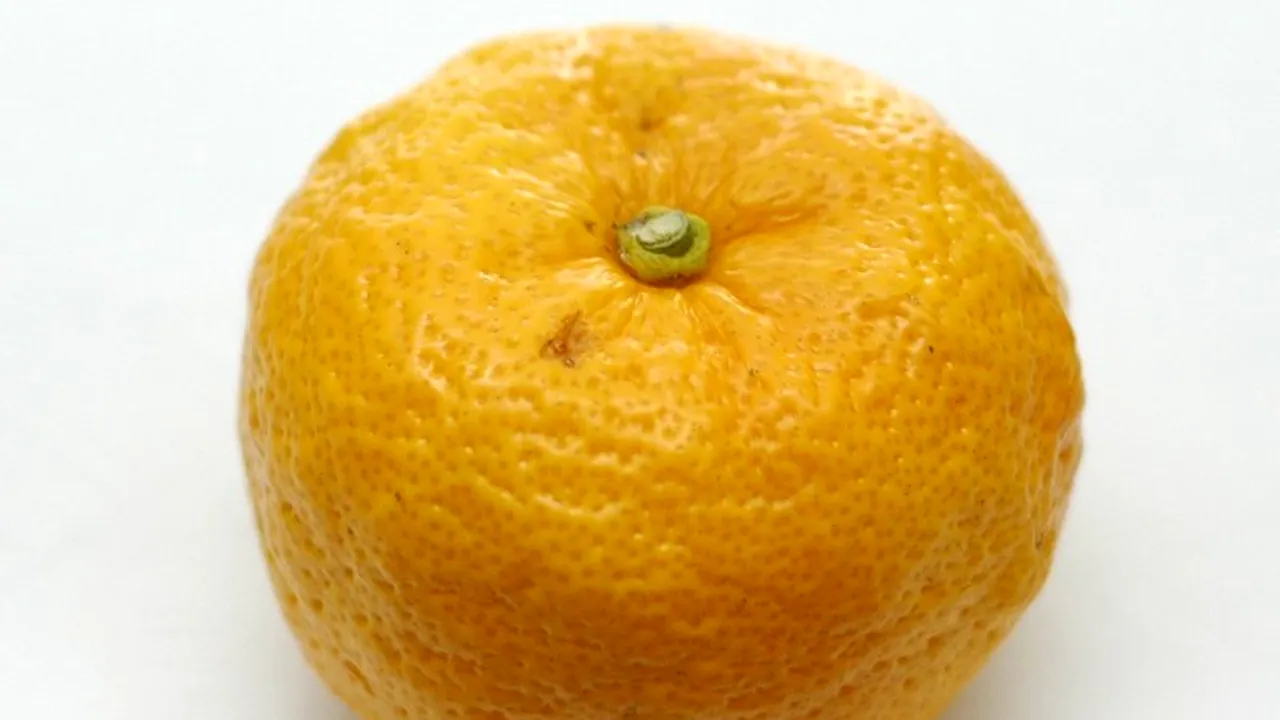 Seamănă cu o portocală, dar nici măcar nu este înrudită. Ce este misteriosul fruct care face furori în restaurantele din Marea Britanie