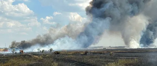 VIDEO | Incendiu puternic la marginea orașului Bragadiru. Trafic blocat pe Centura Capitalei. Fumul poate fi văzut din București - UPDATE