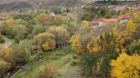 Comuna din România, părăsită de localnici pentru Austria: „Mai bine câștigă îngrijind babe”